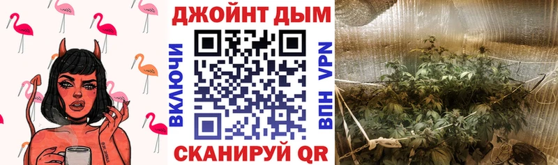 наркотики  Саратов  Конопля индика 